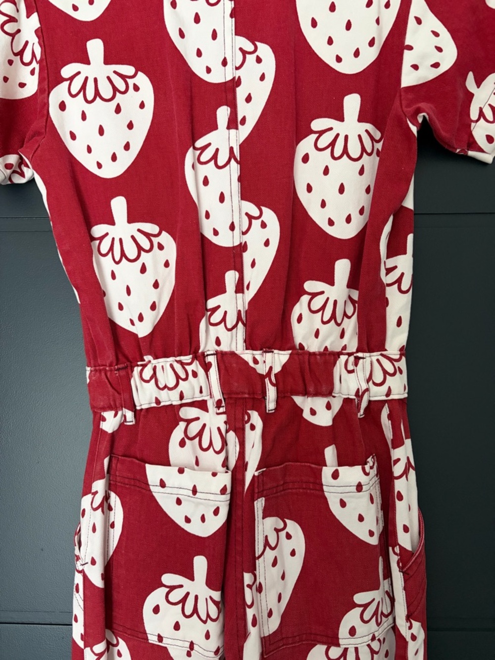 Big Bud Press strawberry/strawbaby jumpsuit - Picture 6 of 7